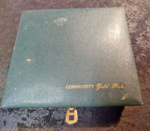 A VINTAGE FRUIT SPOONS COMMUNITY G/P IN A LEATHER-BOUND CASE