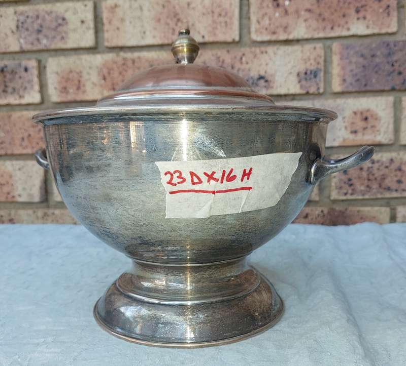 A VINTAGE EDWARDIAN DESIGN TURINE