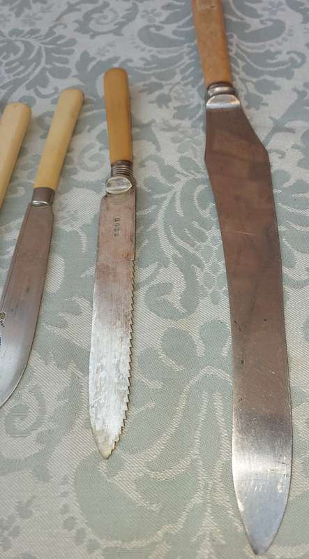 AN ANTIQUE COLLECTION OF BONE HANDLE KNIVES