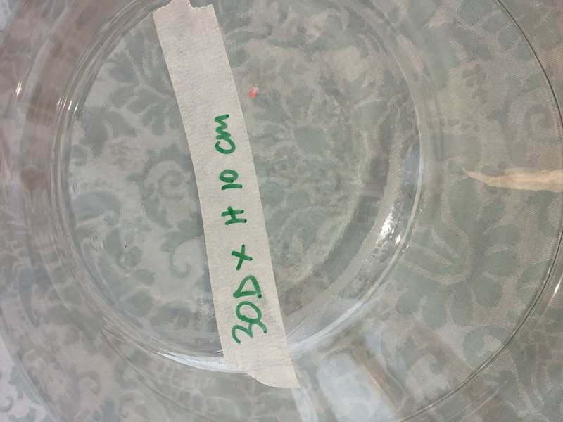 A GLASS FRUIT BOWL