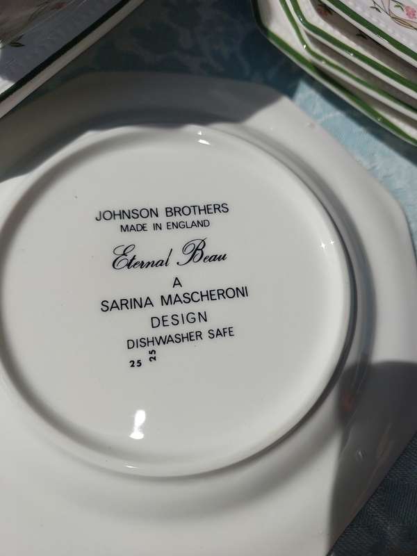 A JOHNSON BROTHERS MADE IN ENGLAND  ETERNAL BEAU A SARINA MASHERONI DESIGN