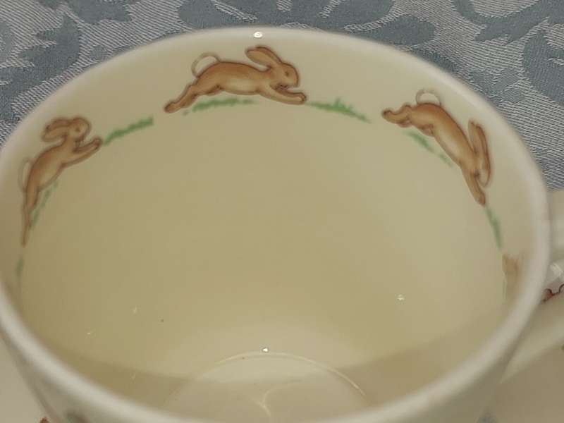 A RARE ROYAL DOULTON BUNNYKINS TEA CUP AND SAUCER