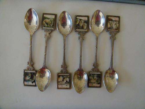 6 NEW ZEALAND "COLLECTORS WORLD" TEASPOONS