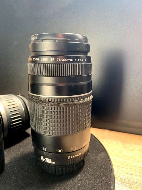 Canon EOS 350D Includes two lenses