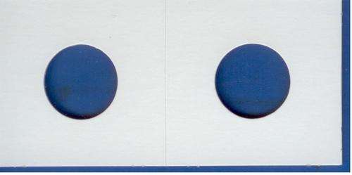 COIN HOLDERS, COIN FLIPS, 20mm, NO PVC!!!  BIDDING PER HOLDER!!!