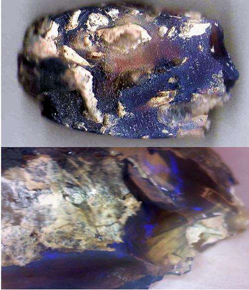 Lightning Ridge Opal Rough Specimen From Australia 35.14 ct 7.029grams 31 mmx27mm