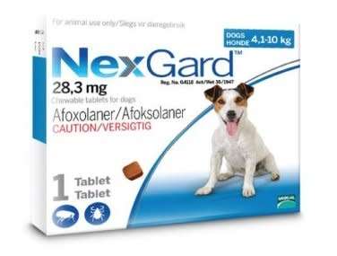 NexGard Chewables - Tick & Flea Control - Medium Dog 4-10kg - 1 Tablet