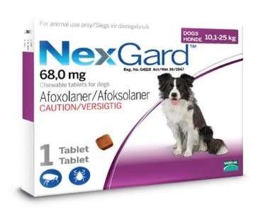 NexGard Chewables - Tick & Flea Control - Large Dog 10-25kg - 1 Tablet