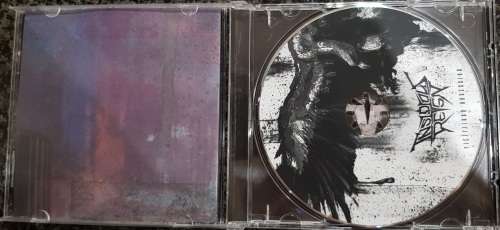 Insidious Reign - Fictitious Obsession