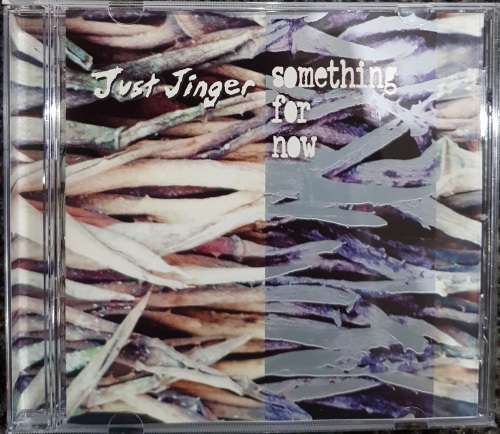 Just Jinger - Something For Now