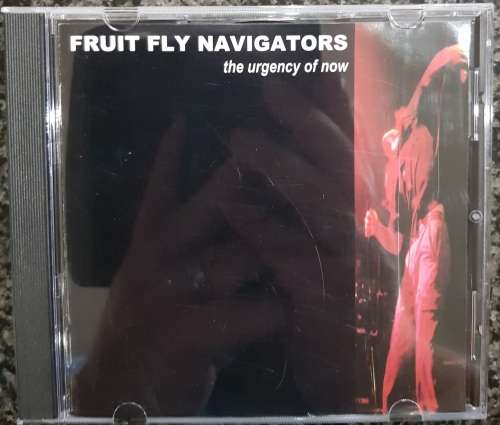 Fruit Fly Navigators - The Urgency of Now