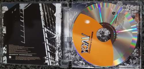 Yoav - Charmed and Strange