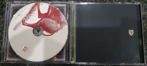 Foo Fighters - In Your Honor (2 CD)