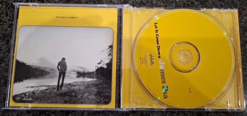 James Iha - Let It Come Down