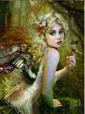 FAIRY PUZZLE