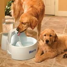 PetSafe Drinkwell water fountain - big dog (capacity 8.5 lt) - ON SPECIAL!