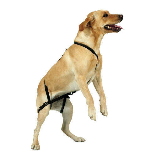 Guardian Gear No-Jump Harness