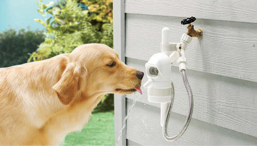 WaterDog - Automatic Outdoor Drinking Fountain