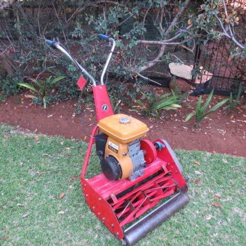 Self propelled Robin lawn mower