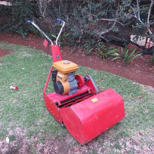 Self propelled Robin lawn mower