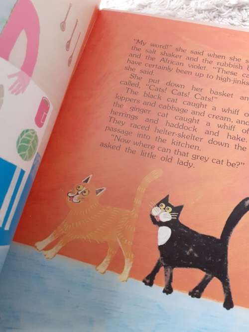 The Sad Cat ~ Jenny Seed