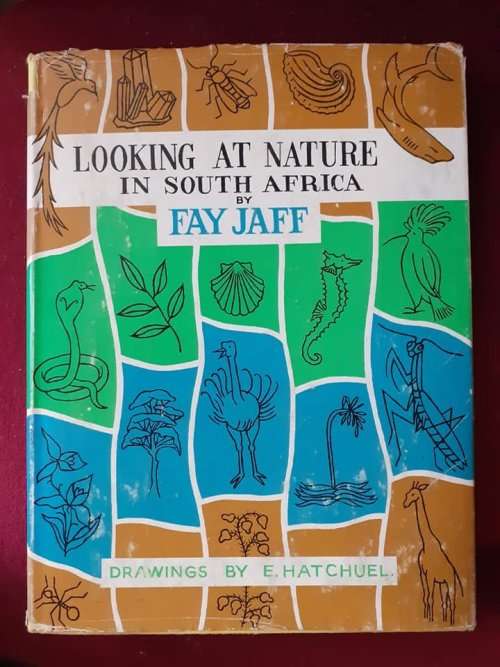 Looking at Nature in South Africa ~ Fay Jaff