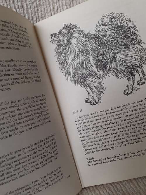 D is for Dog ~ Frank Manolson