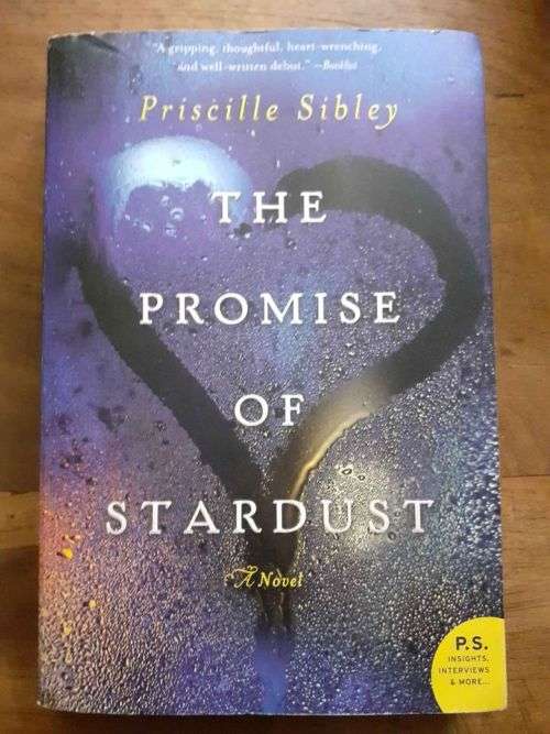 The Promise of Stardust ~ Priscelle Sibley