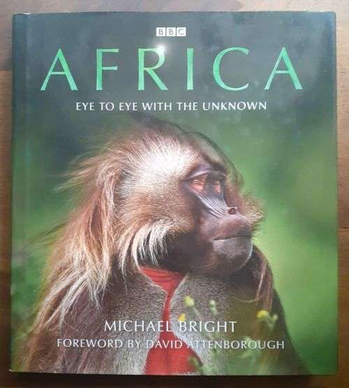AFRICA Eye to Eye with the Unknown ~ Michael Bright