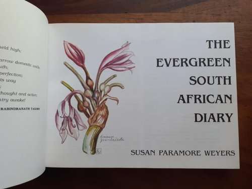 The Evergreen South African Diary ~ Susan Paramore Weyers