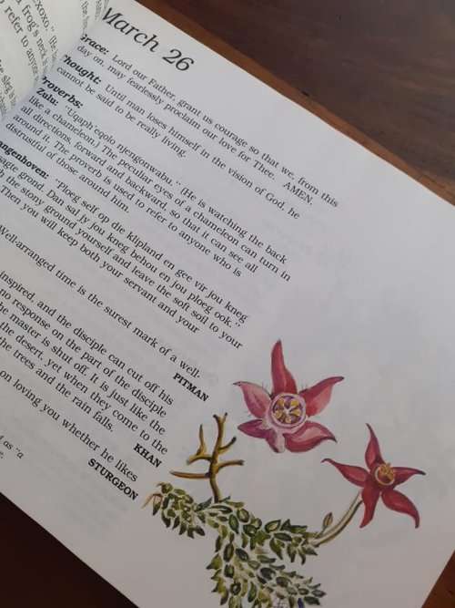 The Evergreen South African Diary ~ Susan Paramore Weyers