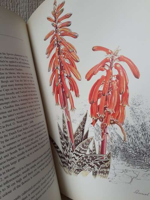 Flowers Of Southern Africa ~ Auriol Batten (limited edition)