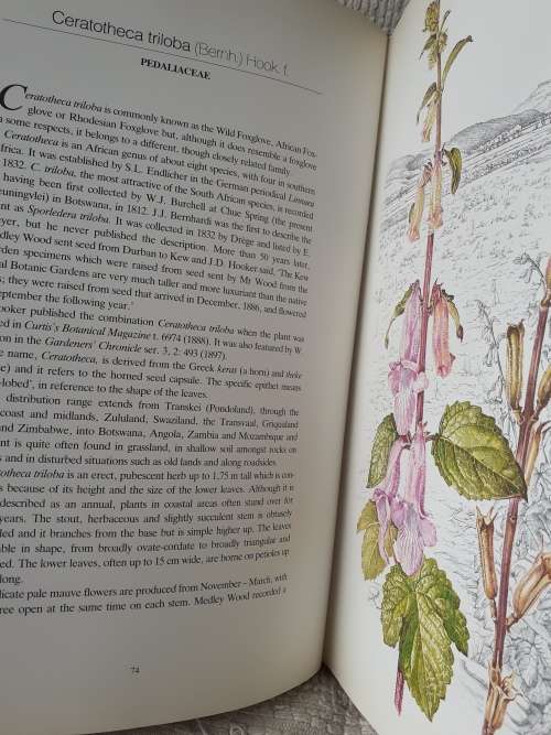 Flowers Of Southern Africa ~ Auriol Batten (limited edition)
