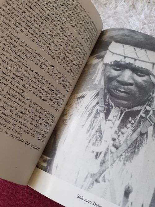 The Pagan Soul ~ B J F Laubscher