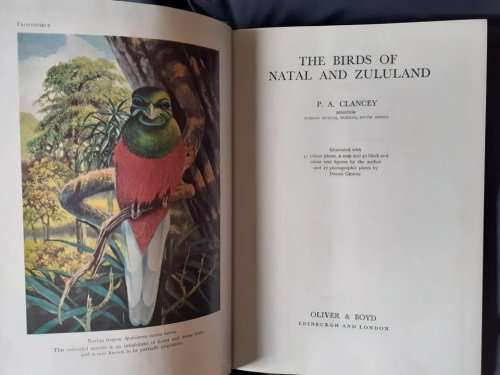 The Birds of Natal and Zululand ~ P A Clancy