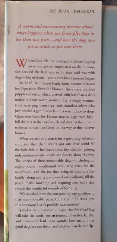 Another Good Dog ~ Cara Sue Achterberg