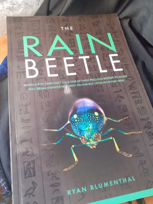 The Rain Beetle ~ Ryan Blumenthal