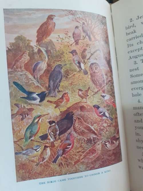 The Golden Dawn Readers (book II) ~ Alfred Perceval Graves
