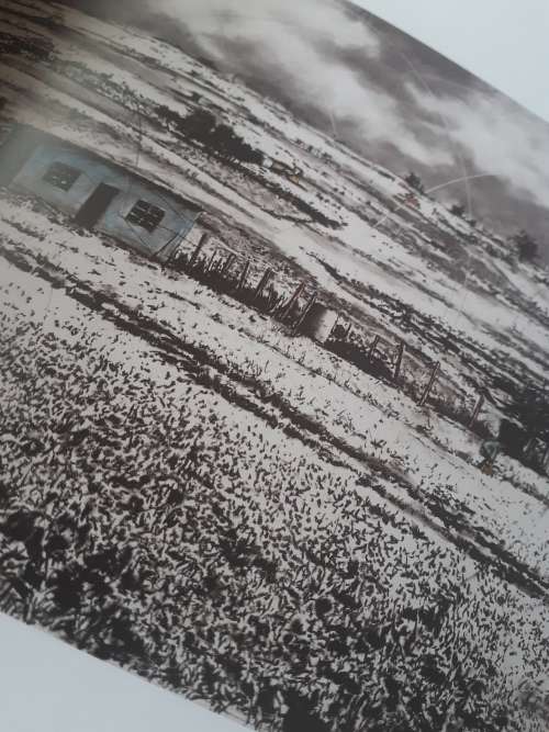 The Qunu Drawings (exhibition catalogue)~ Phillemon Hlungwani
