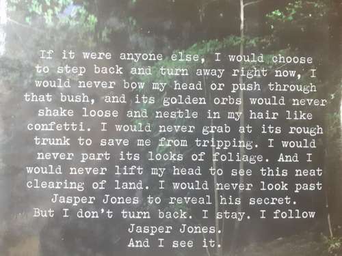 Jasper Jones ~ Craig Silvey