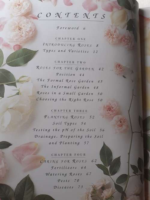 Roses ~ Esther Geldenhuys