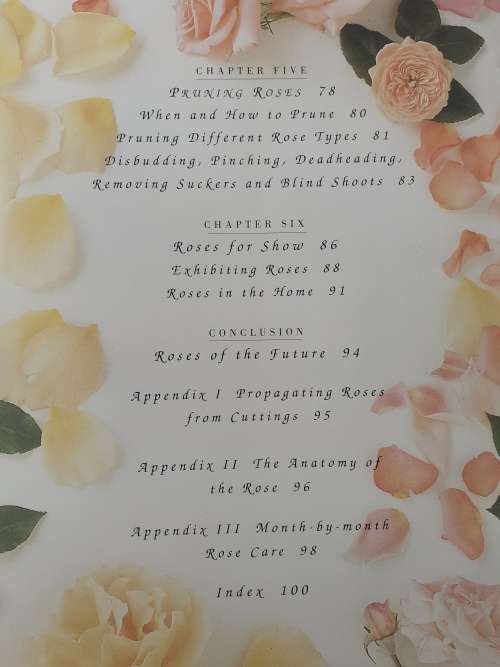 Roses ~ Esther Geldenhuys
