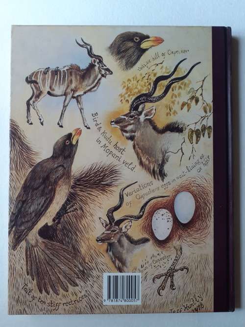 Jeff Huntly`s African Wildlife Sketches ~ Jeff Huntly
