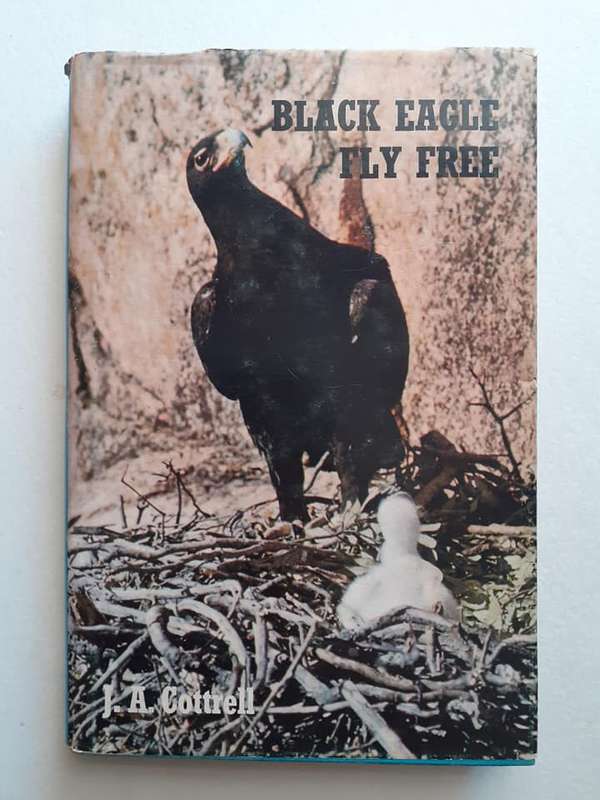 Black Eagle Fly Free ~ J A Cottrell