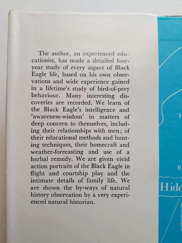Black Eagle Fly Free ~ J A Cottrell