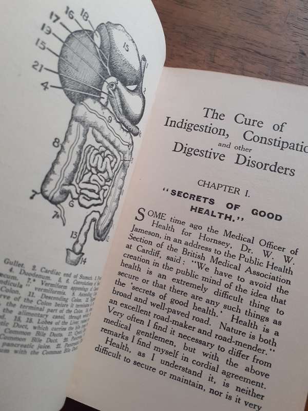 The Cure of Indigestion, Constipation and other Digestive Disorders ~ William R Lucas