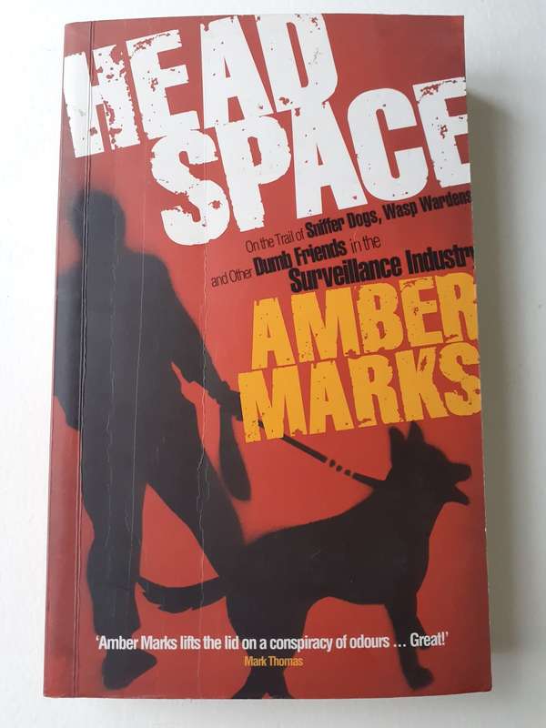 Head Space ~ Amber Marks