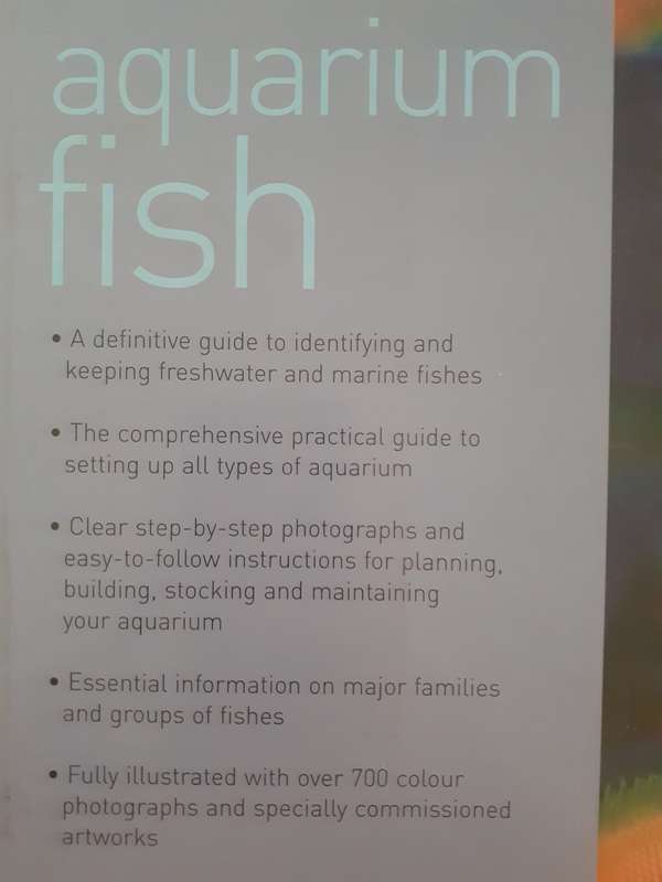Aquarium Fish ~ Bailey / Sandford