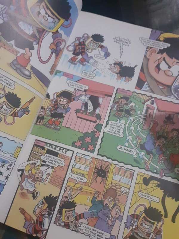 The BEANO book 2002