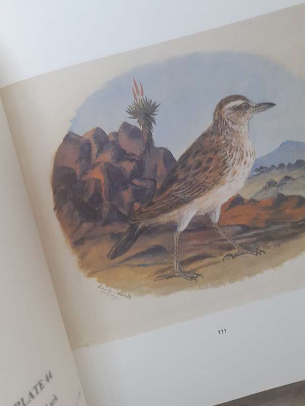 The Birds of South Africa ~ Thomas Baines
